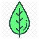 Leaf Floral Plant Icon