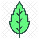Leaf Floral Plant Icon
