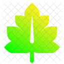 Leaf Autumn Spring Icon