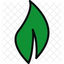 Bio Eco Leaf Icon