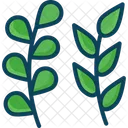 Leaf Plant Leaf Tree Leaf Icon