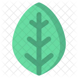 Leaf  Icon