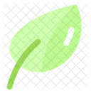 Spring Leaf Ecology Icon