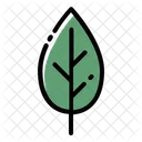 Leaf Tree Ecology Icon