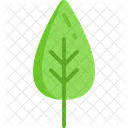 Leaf Tree Ecology Icon