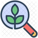 Seo Leaf Organic Icon