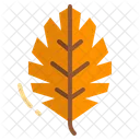 Leaf Autumn Season Icon