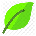 Leaf Bio Ceo Icon