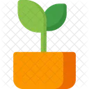 Leaf Plant Icon