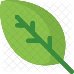 Leaf  Icon