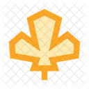 Leaf Maple Icon
