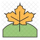 Leaf Weather Autumn Icon