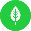 Leaf Spring Plant Icon
