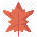 Leaf Nature Maple Icon