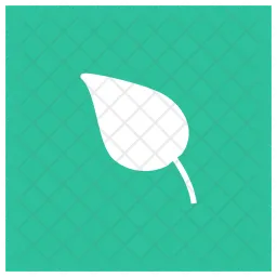 Leaf  Icon