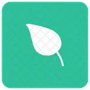 Leaf Nature Organic Icon