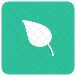 Leaf  Icon