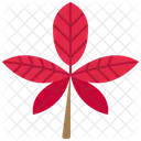 Leaf Autumn Botanical Icon