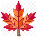 Leaf Maple Autumn Icon