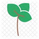 Gardening Leaf Nature Icon