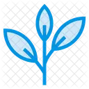 Leaf Nature Growth Icon