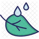 Leaf Drops Water Icon