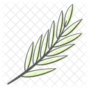 Leaf Bamboo Branch Icon