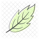 Plant Nature Spring Icon