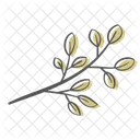 Leaf Branch Plant Icon
