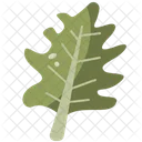 Leaf Botanical Garden Icon