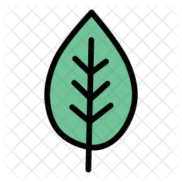 Leaf  Icon