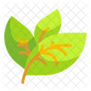 Leaf Ecology Environment Icon
