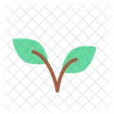 Leaf Green Plant Icon
