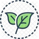 Leaf Fresh Green Icon
