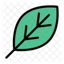 Leaf Green Spring Icon