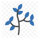 Leaf Tree Garden Icon