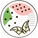 Leaf Leaf Nature Icon