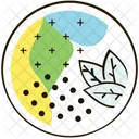 Leaf Leaf Nature Icon