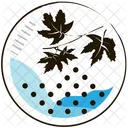 Leaf Leaf Nature Icon