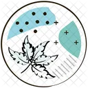 Leaf Leaf Nature Icon