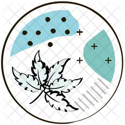 Leaf  Icon