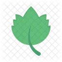 Leaf Green Nature Icon