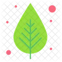 Leaf Green Nature Icon