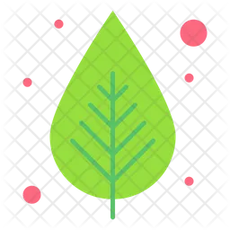 Leaf  Icon