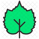 Herb Healthy Natural Icon
