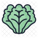 Leaf Vegetable Healthy Icon