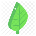 Leaf Leaflet Foliage Icon