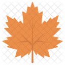 Leaf Maple Maple Leaf Icon