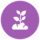 Plant Nature Growth Icon