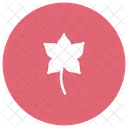 Leaf Flower Bloom Icon